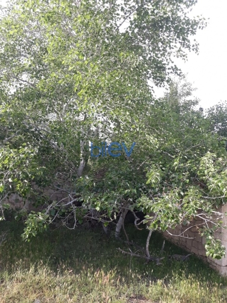 Satış  otaqlı Torpaq  10m², Bakı