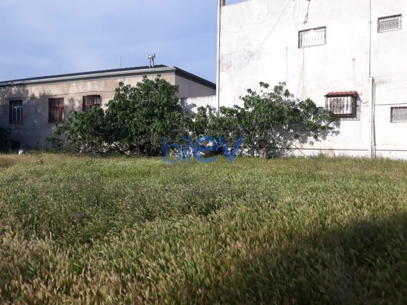 Satış  otaqlı Torpaq  10m², Bakı