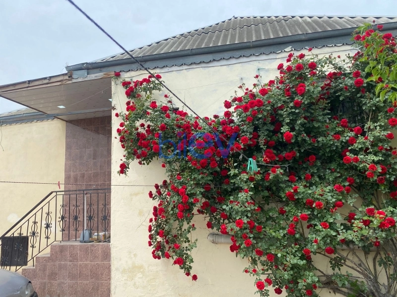 Satış 3 otaqlı Həyət evi  80m², Bakı