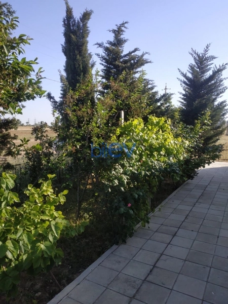 Satış 6 otaqlı Villa  220m², Bakı