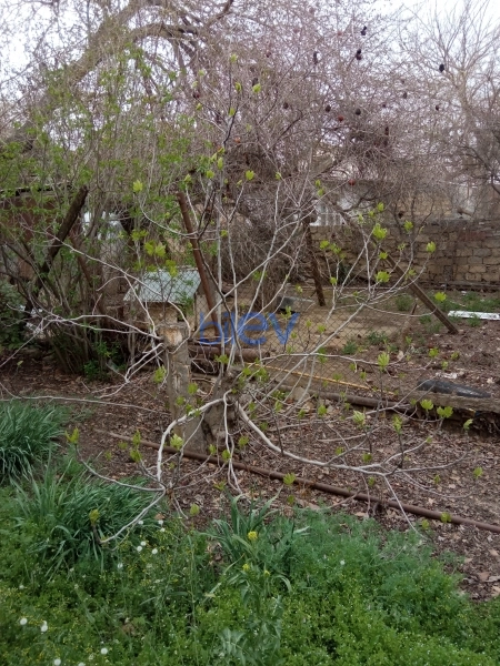 Satış 3 otaqlı Torpaq  334m², Bakı