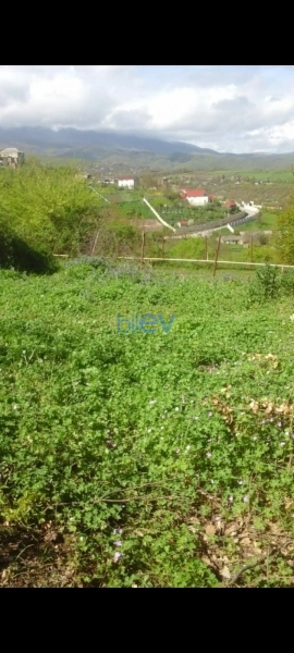 Satış  otaqlı Torpaq  12m², Şabran