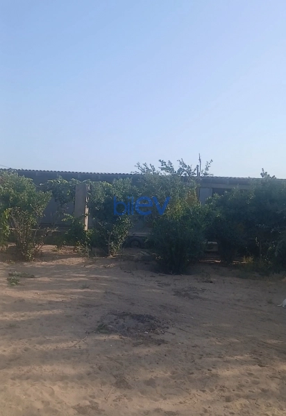 Satış 3 otaqlı Bağ evi  27m², Bakı