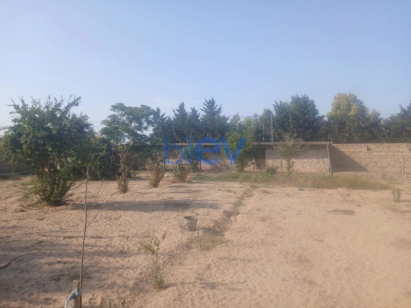Satış 3 otaqlı Bağ evi  27m², Bakı