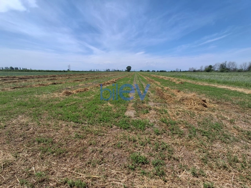 Satış  otaqlı Torpaq  36m², Bərdə
