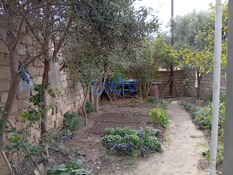 Satış 3 otaqlı Həyət evi  100m², Bakı