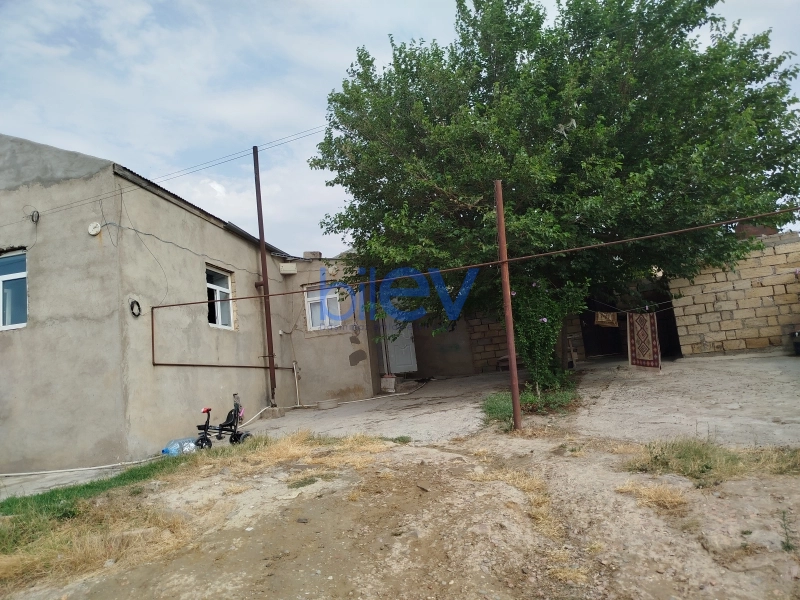 Günlük Kirayə 3 otaqlı Həyət evi  60m², Qəbələ