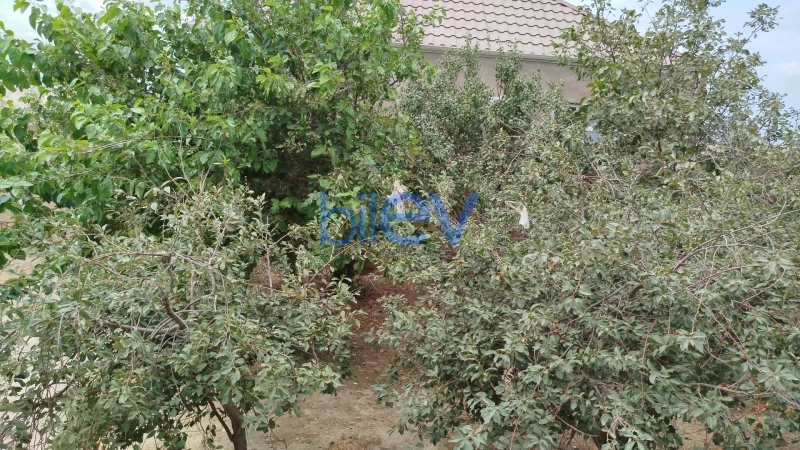Günlük Kirayə 3 otaqlı Həyət evi  60m², Qəbələ