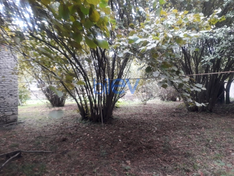 Satış  otaqlı Torpaq  20m², Qəbələ
