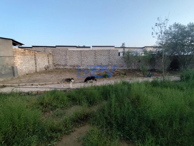 Satış  otaqlı Torpaq  4m², Bakı