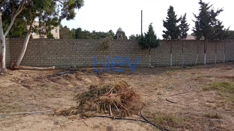 Satış 0 otaqlı Torpaq  79m², Bakı