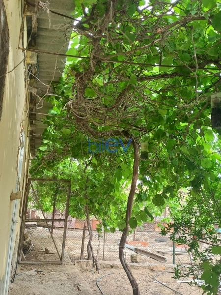 Satış 6 otaqlı Həyət evi  150m², Bakı