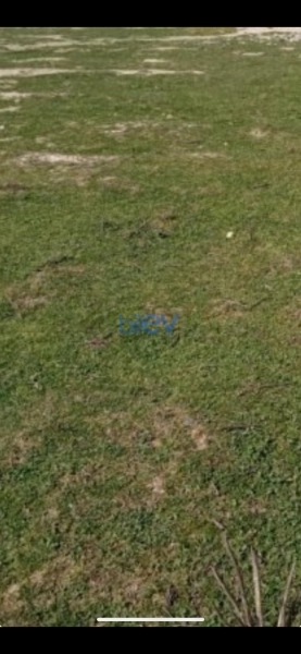 Satış  otaqlı Torpaq  6m², Lənkəran