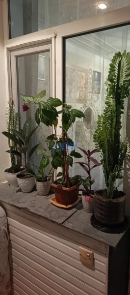 Satış 2 otaqlı Köhnə Tikili bina evi  55m², Bakı