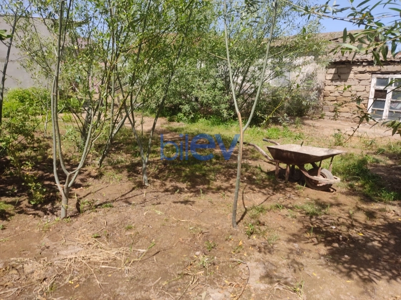 Satış  otaqlı Torpaq  10m², Bakı