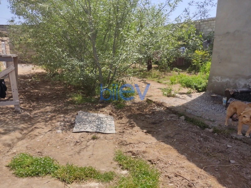 Satış  otaqlı Torpaq  10m², Bakı