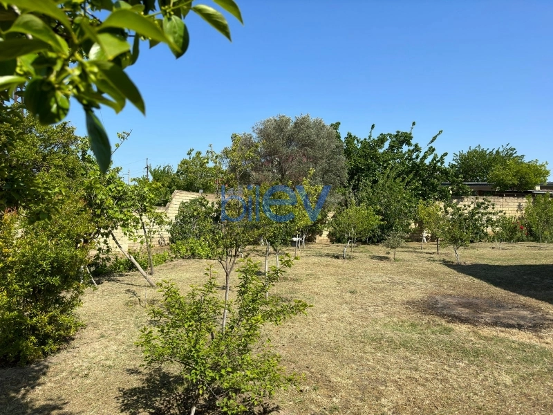 Satış  otaqlı Torpaq  13m², Bakı