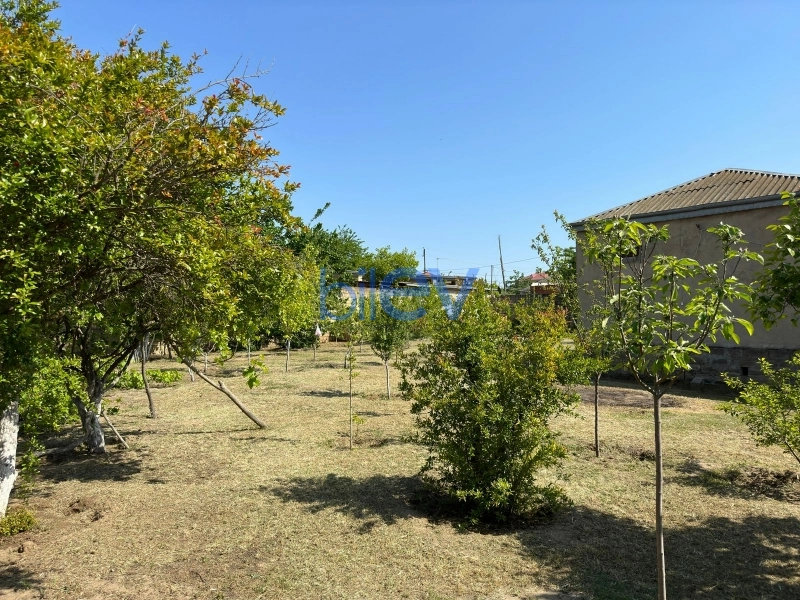 Satış  otaqlı Torpaq  13m², Bakı