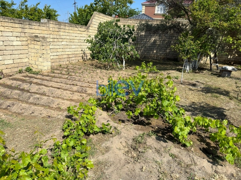 Satış  otaqlı Torpaq  13m², Bakı