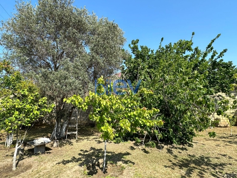 Satış  otaqlı Torpaq  13m², Bakı