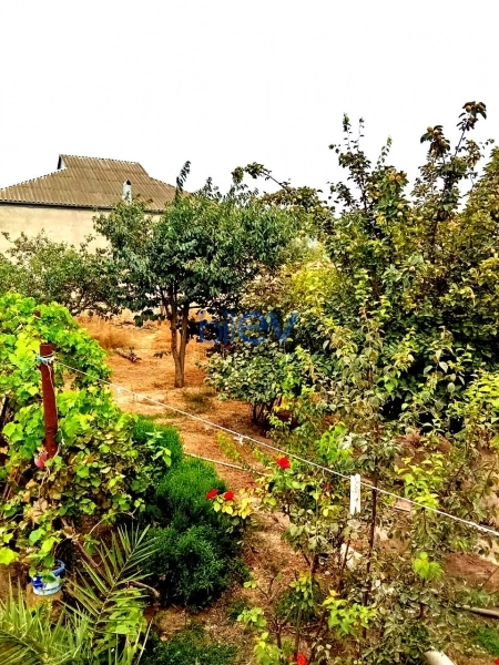 Satış 5 otaqlı Yeni Tikili bina evi  154m², Bakı
