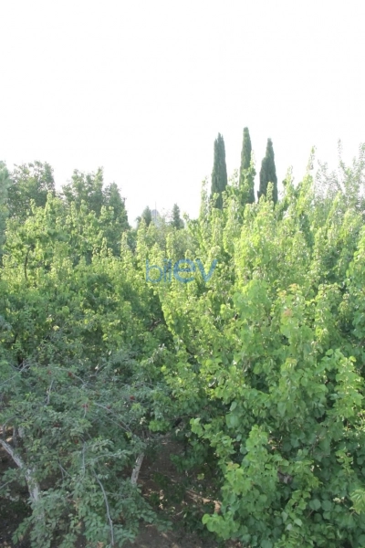 Satış 17 otaqlı Villa  700m², Göygöl