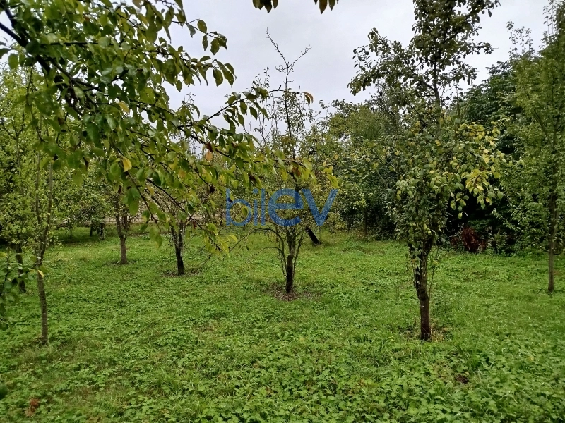 Satış  otaqlı Torpaq  5m², İsmayıllı