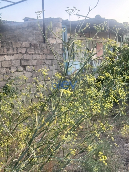 Satış 4 otaqlı Həyət evi  160m², Bakı
