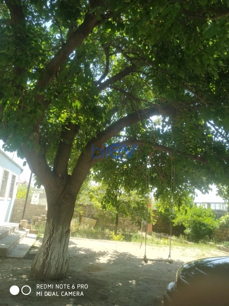 Satış 4 otaqlı Bağ evi  146m², Sumqayıt