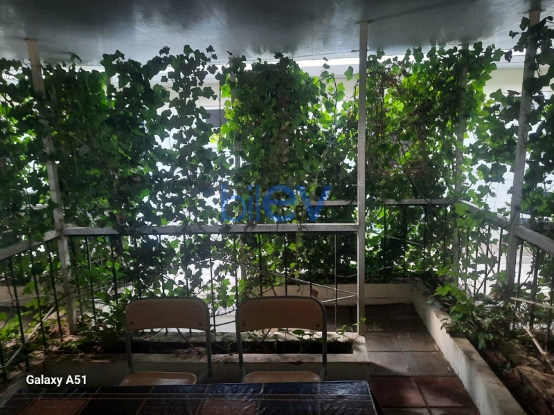 Aylıq Kirayə 12 otaqlı Obyekt  500m², Bakı
