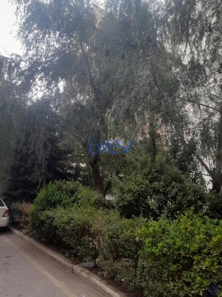 Satış 1 otaqlı Torpaq  11m², Bakı