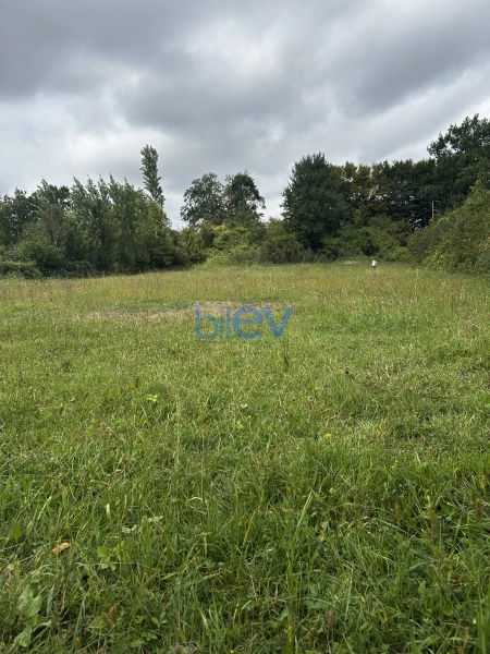 Satış  otaqlı Torpaq  2400m², Qusar