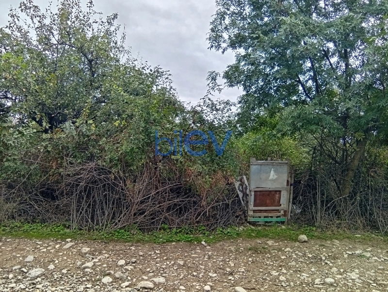 Satış 2 otaqlı Torpaq  35m², Şabran