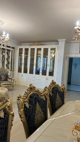 Aylıq Kirayə 4 otaqlı Yeni Tikili bina evi  230m², Bakı