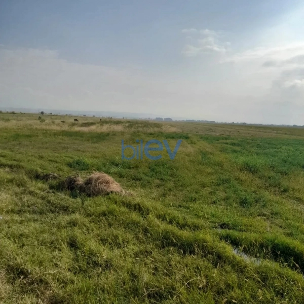 Satış  otaqlı Torpaq  141m², Samux
