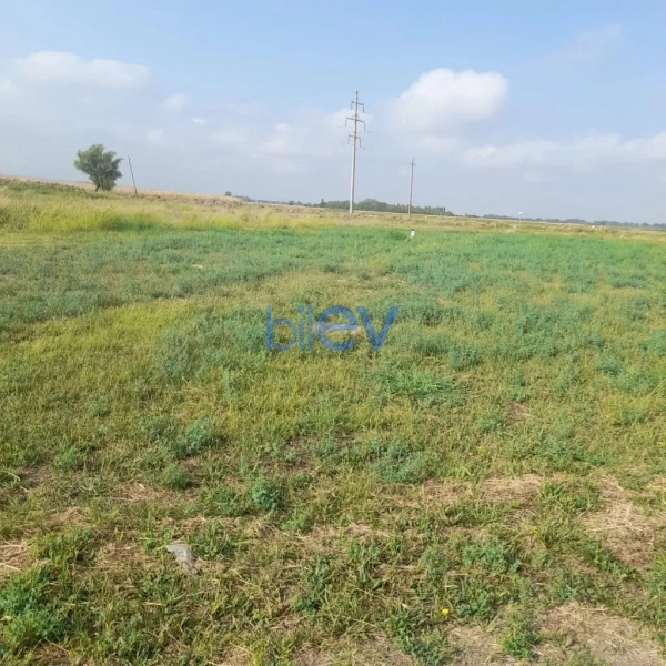 Satış  otaqlı Torpaq  141m², Samux