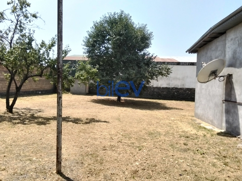 Satış  otaqlı Torpaq  3m², Qəbələ