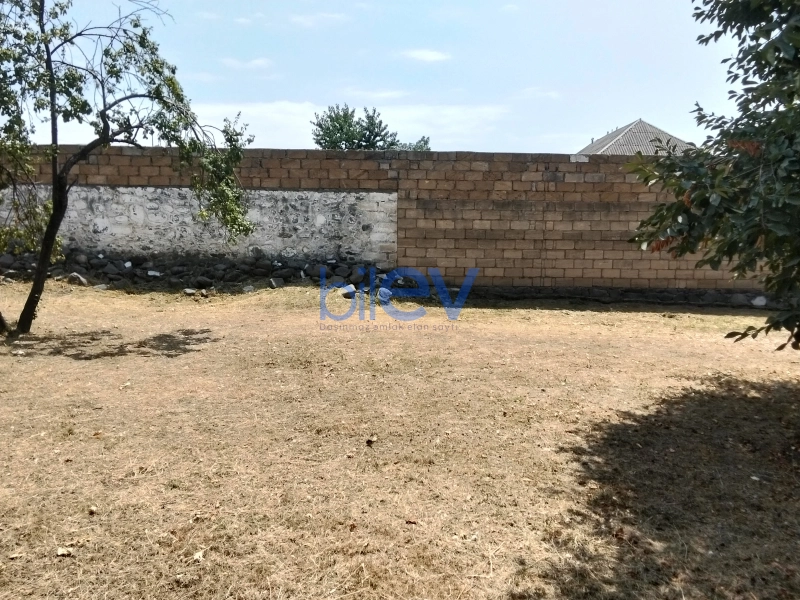 Satış  otaqlı Torpaq  3m², Qəbələ