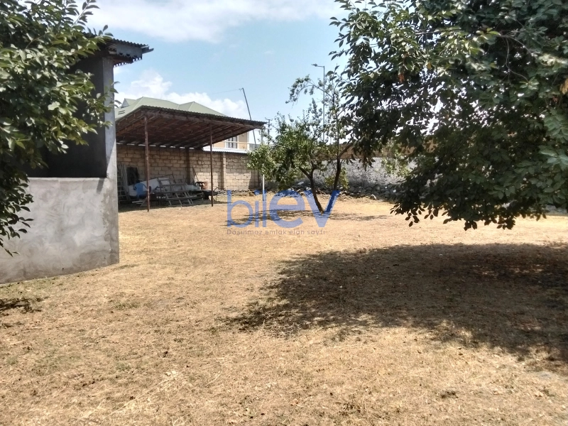 Satış  otaqlı Torpaq  3m², Qəbələ