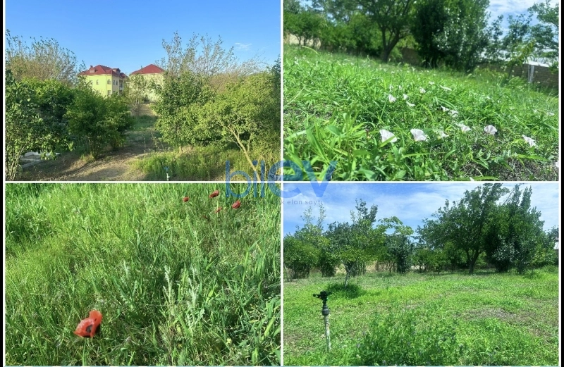 Satış 5 otaqlı Bağ evi  150m², Sumqayıt