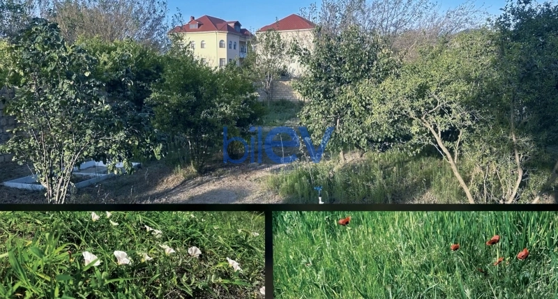 Satış 5 otaqlı Bağ evi  150m², Sumqayıt