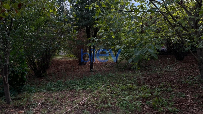 Satış  otaqlı Torpaq  1500m², İsmayıllı