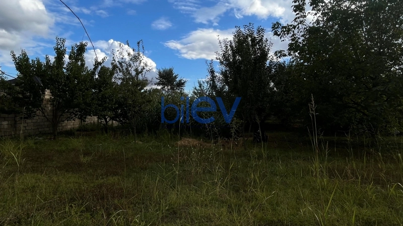Satış  otaqlı Torpaq  1500m², İsmayıllı