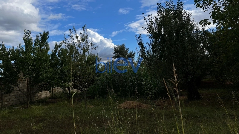 Satış  otaqlı Torpaq  1500m², İsmayıllı