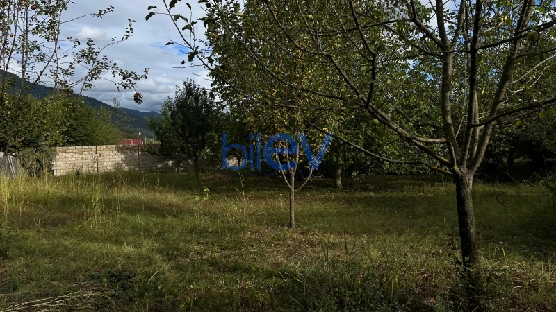 Satış  otaqlı Torpaq  1500m², İsmayıllı