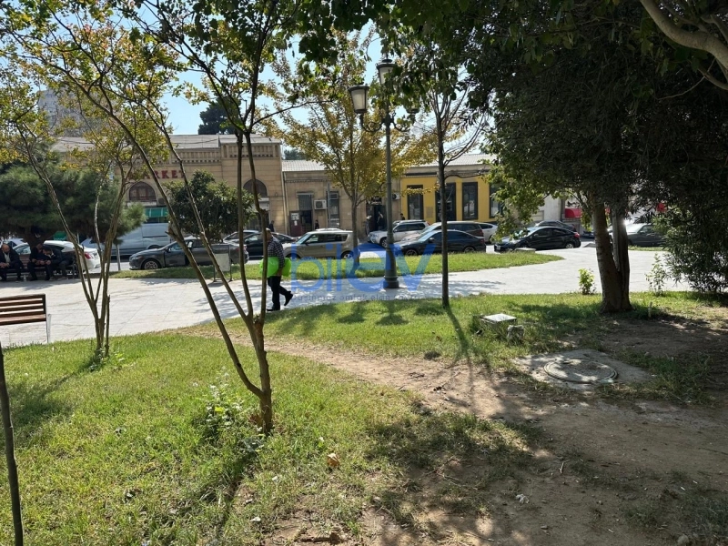 Aylıq Kirayə 2 otaqlı Obyekt  80m², Bakı
