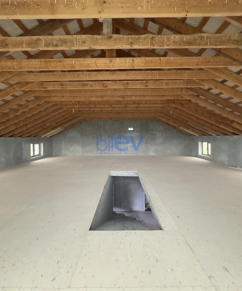 Satış 9 otaqlı Bağ evi  320m², İsmayıllı