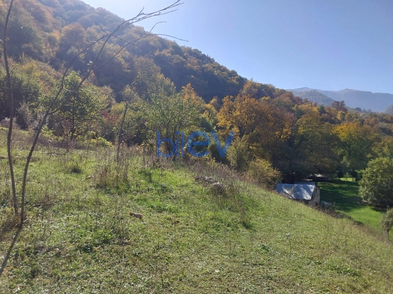 Satış  otaqlı Torpaq  m², Quba