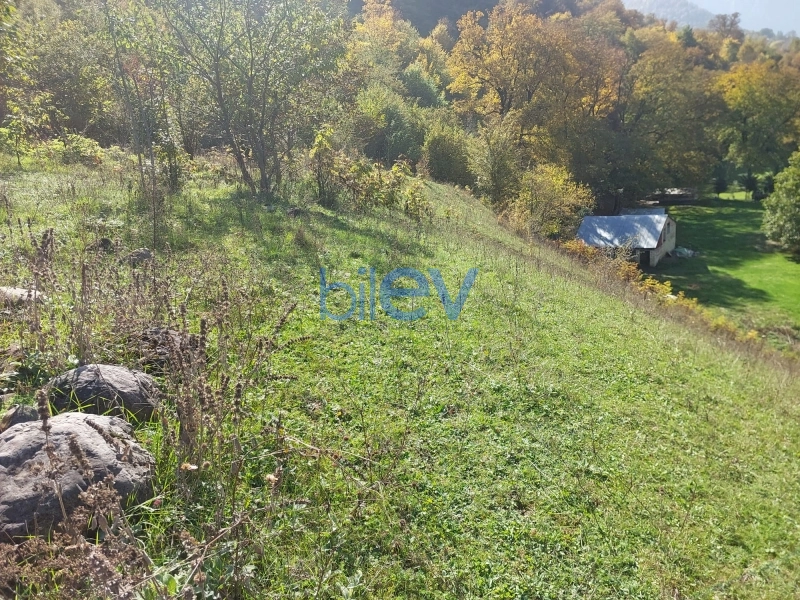 Satış  otaqlı Torpaq  m², Quba