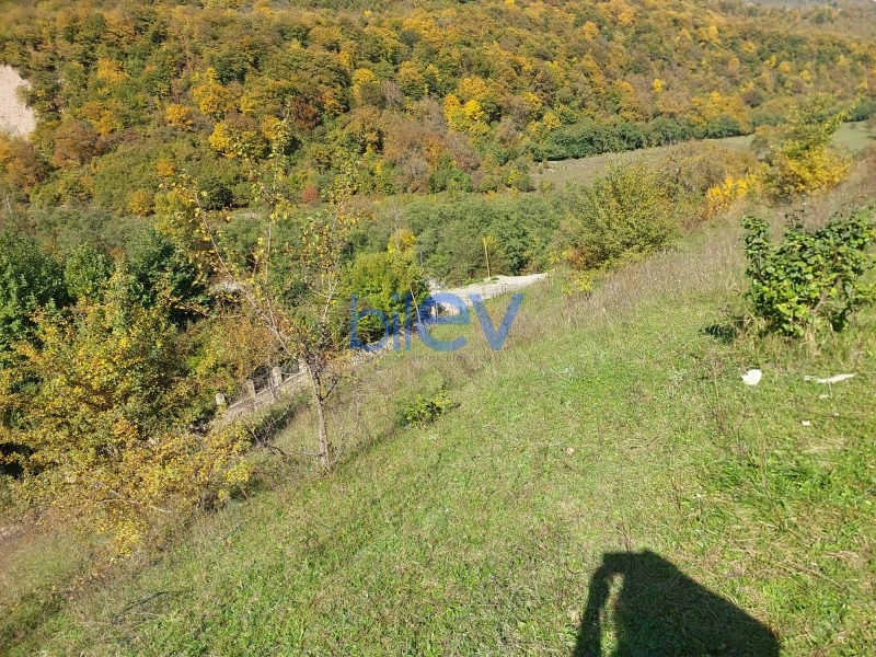 Satış  otaqlı Torpaq  m², Quba
